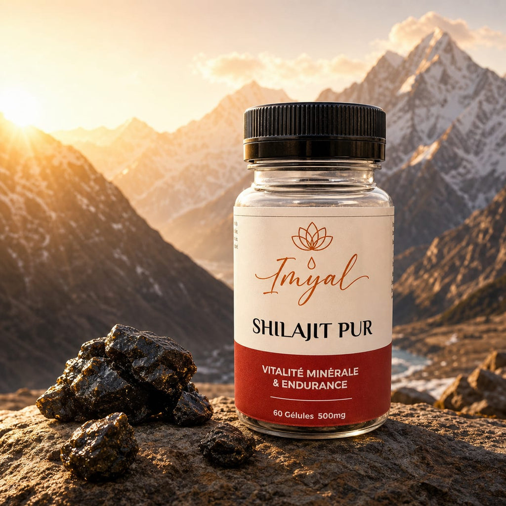Gélule Shilajit