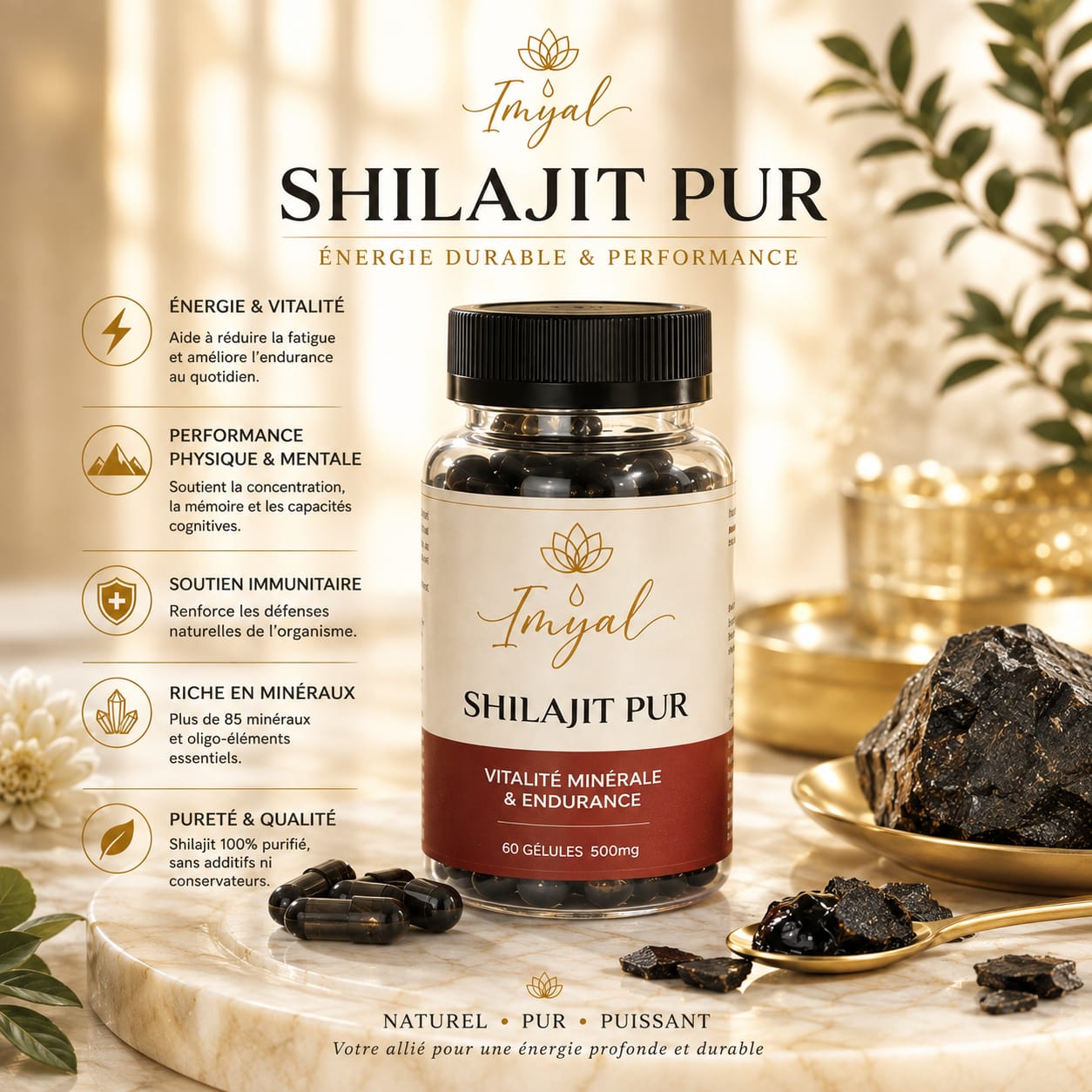 Gélule Shilajit